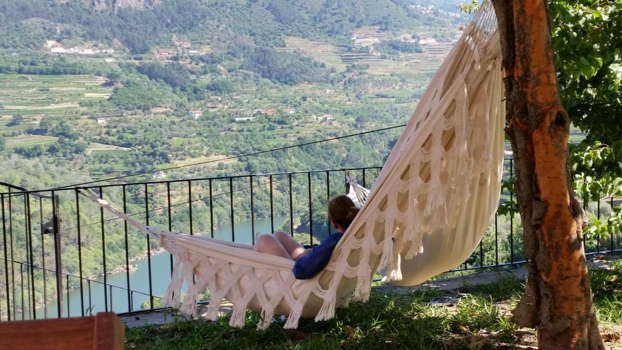 فيلا Quinta Barqueiros D'Ouro - Casa Da Musica Mesão Frio المظهر الخارجي الصورة